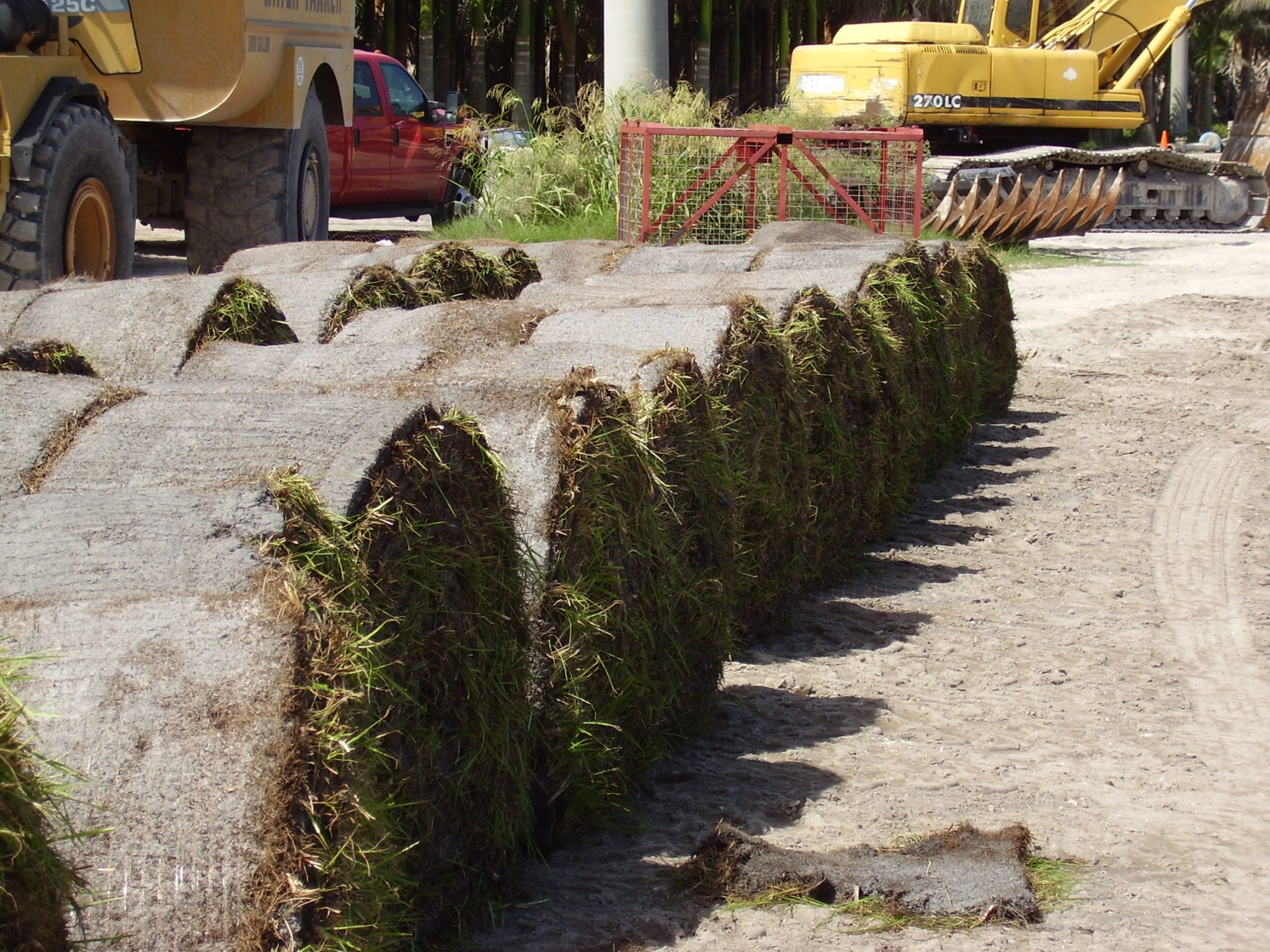 floratam-st-augustine-d-j-lawn-services